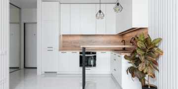 Aukuba ogrodowy kroton. Uprawa i pielęgnacja