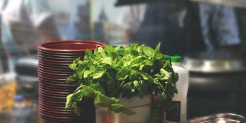 Mięta pieprzowa = mięta lekarska - Mentha piperita