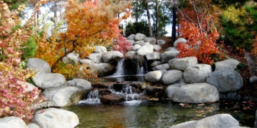 Skalniak w ogrodzie. Jak założyć skalniak krok po kroku